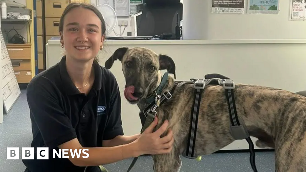 Accrington RSPCA's Lifeline: What's Next for Sustainable Animal Care?